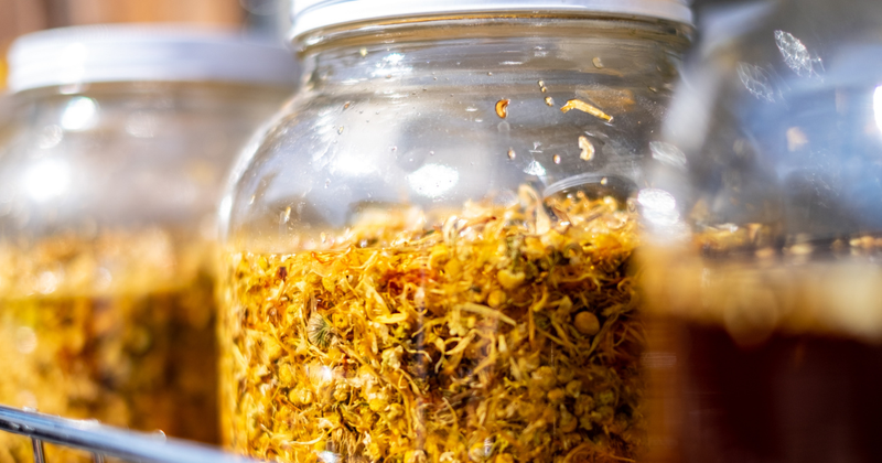 Glass jars of dried herbs steeping in oil, lit by sunlight.