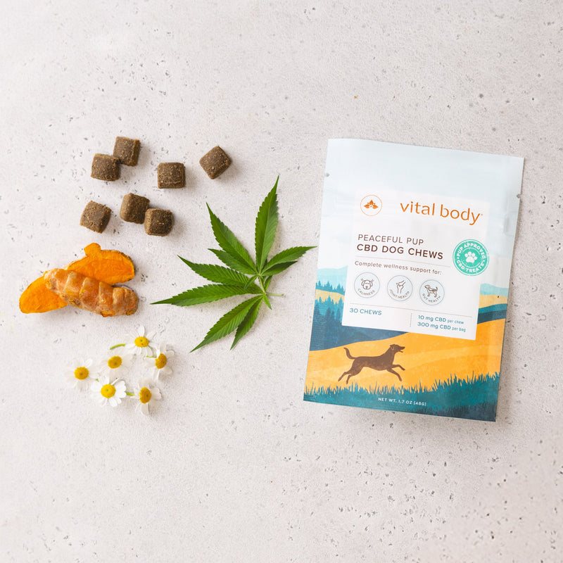 Peaceful Pups: Natural CBD Chews to Help Your Dog Feel Their Best