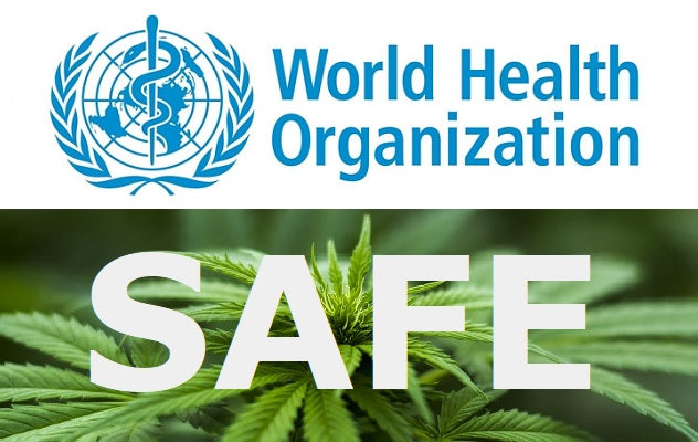 World Health Organization Reviews Safety of CBD