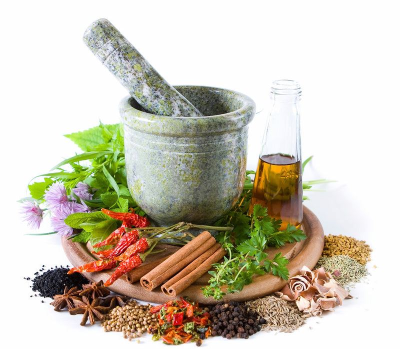 Ingredient Highlights: 9 Pain Relieving Herbs + CBD