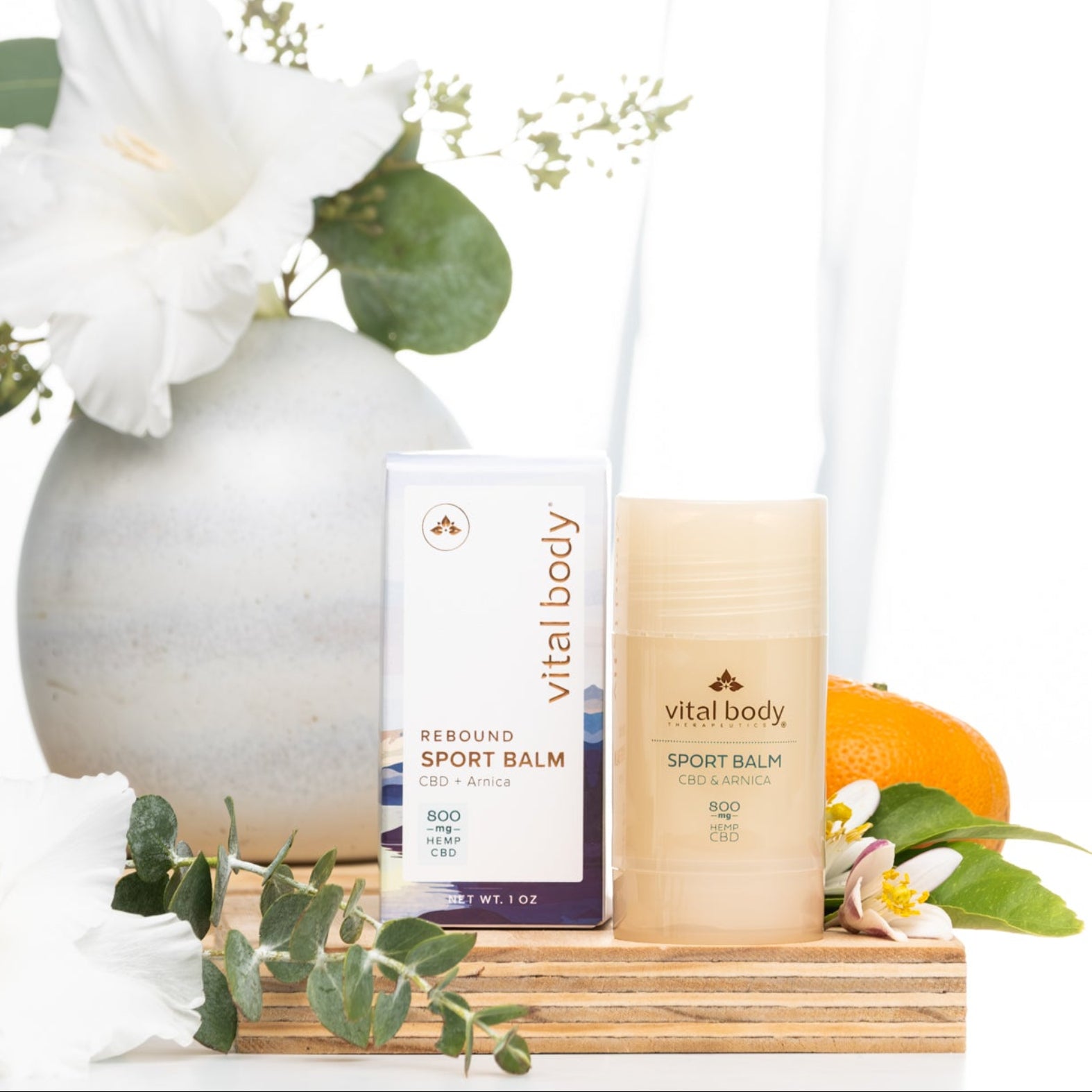 CBD Sport Balm – Vital Body Therapeutics