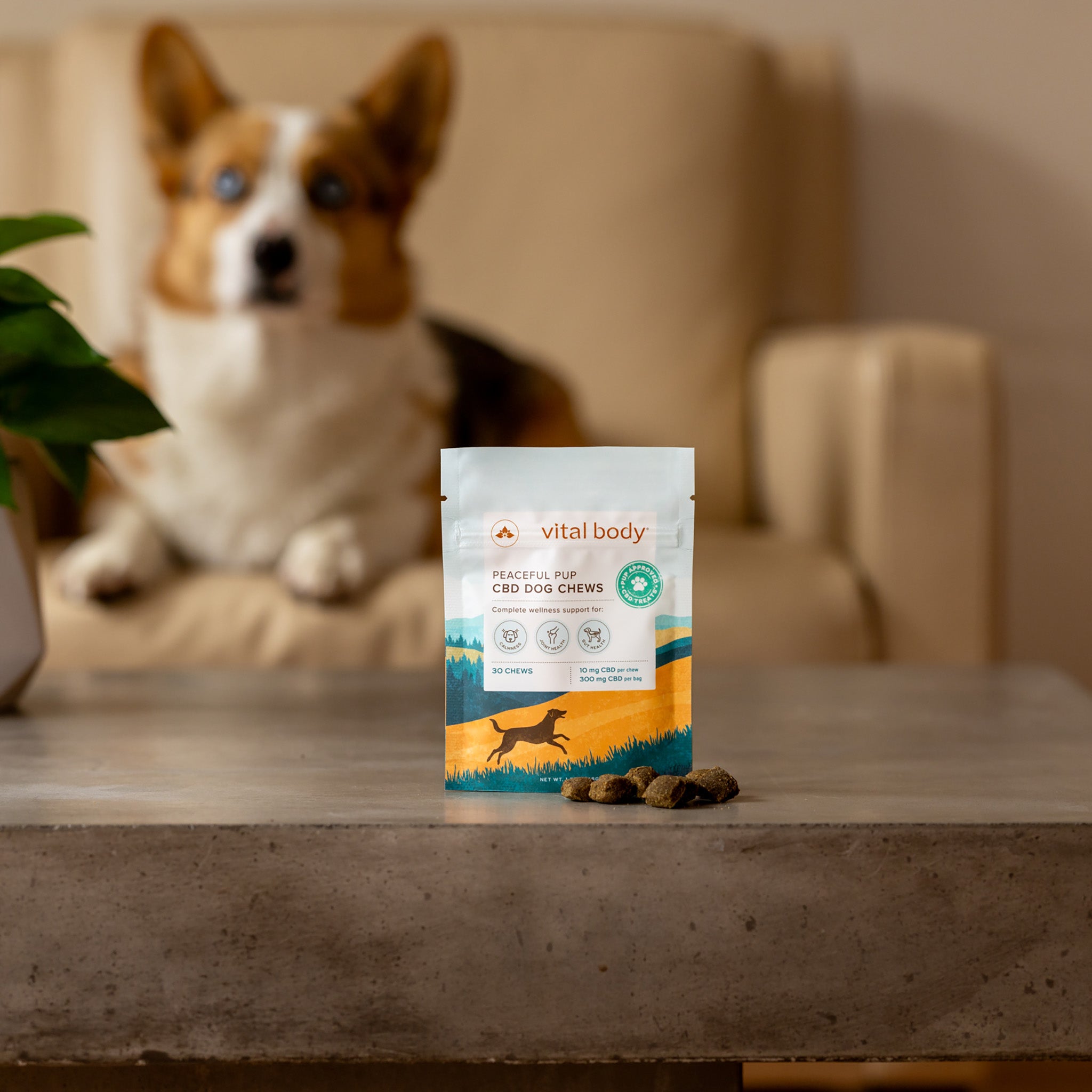 Peaceful Pup CBD Dog Chews – Vital Body Therapeutics